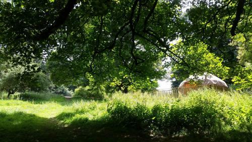 Rock Farm Slane - Glamping
