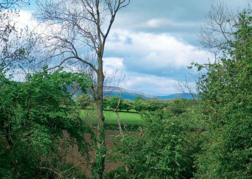 Lindale Park