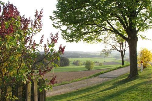 Apartamento Haus Hollerbusch