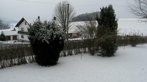 Apartamento Haus Hollerbusch