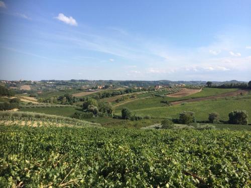 Bed & Breakfast Casa La Farfalla Bianca