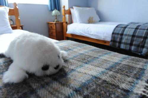 Apartamento Decca - Self Catering Shetland