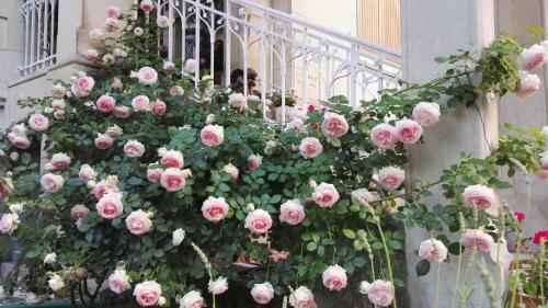 Bed & Breakfast Villa Hestia