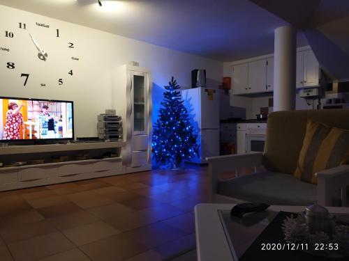 Apartamento Penthouse Marina Sol