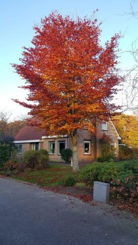 Bed En Breakfast Rust En Ruimte