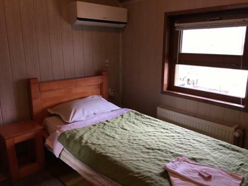 Hostal Pensiunea Iona