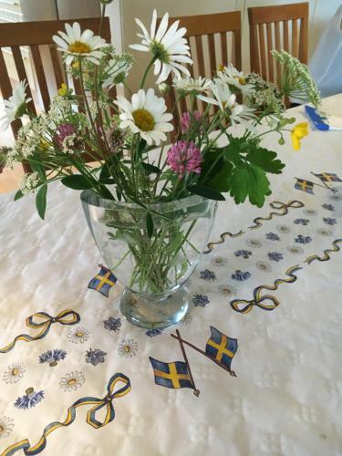 Hostal �vergrans Jordbruk