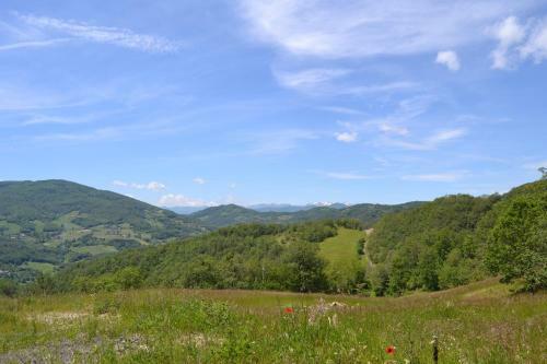 B&B Cimone