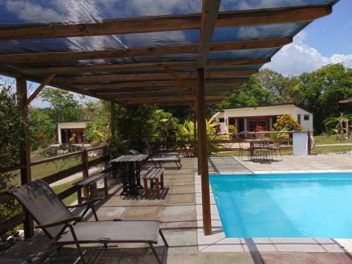 Hotel Gumbo Limbo Jungle Resort