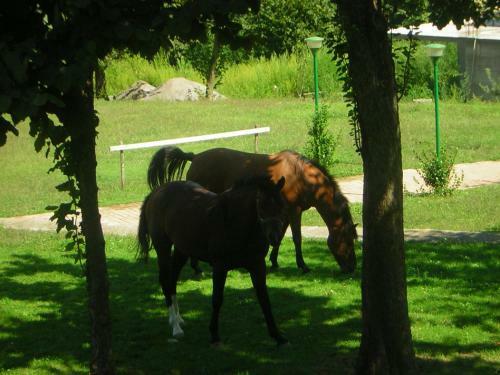 Hotel Villapiana Country House