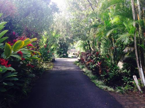 Hotel Villas Colibri