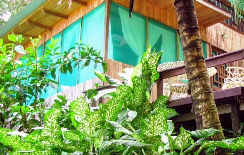 Hotel Guaria De Osa Ecolodge