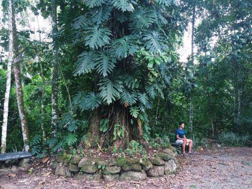 Albergue De Monta�a Talari