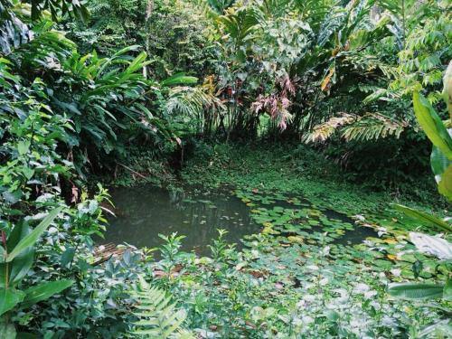 Albergue De Monta�a Talari