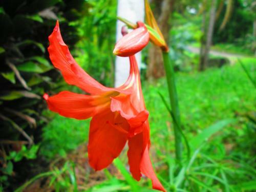 Villa Tavida Lodge