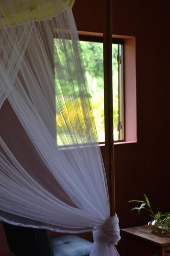 Hotel Nautile