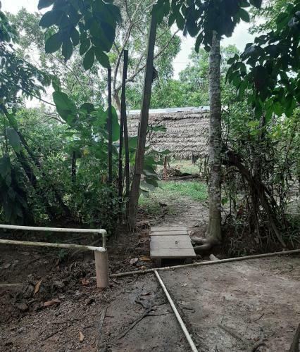 Comunidade Do Xingu Camping Side
