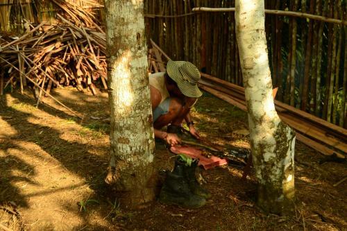 Comunidade Do Xingu Camping Side