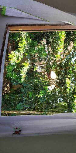 Bed & Breakfast Pouso Cantinho Dos Sabias