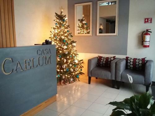 Hotel Casa Caelum