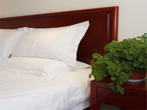 Greentree Inn Beijing Shunyi Xinguozhan Express Hotel