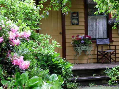 Hotel Lemonade Creek Cottages