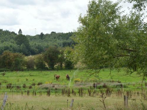 Holiday Home Bird Symphony
