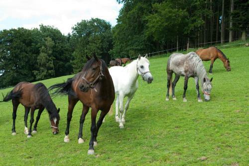 Familienhotel Die Hochrie�