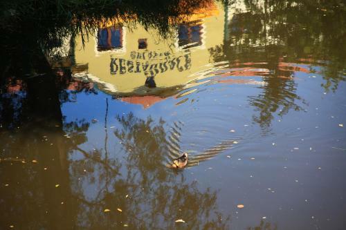 Hostal Guest House Spl�vek