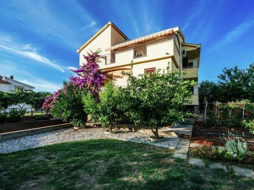 Apartment Apartment Biograd