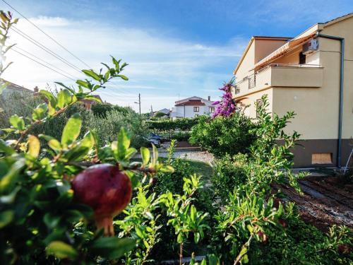 Apartment Apartment Biograd