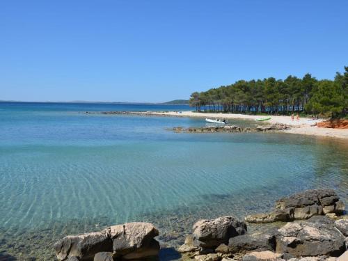 Apartment Apartment Biograd