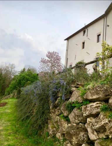 Agroturismo Tenuta Di Vico Moricino