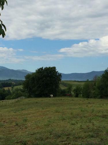 Agroturismo Tenuta Di Vico Moricino