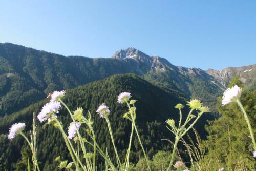 Agroturismo Hofstatthof