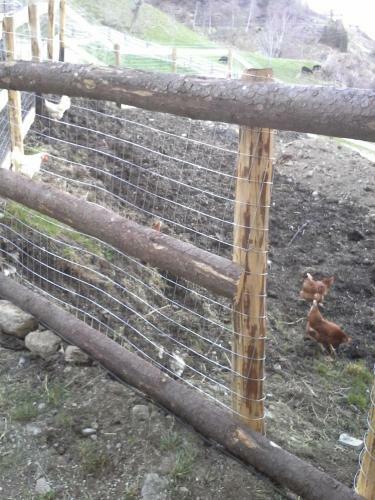 Agroturismo Hofstatthof