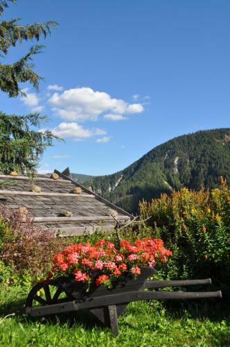 Agroturismo Hofstatthof