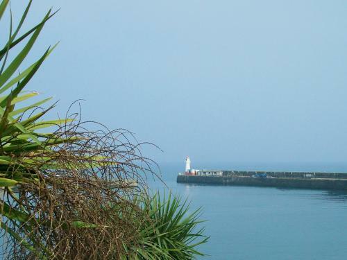 Harbour Lights