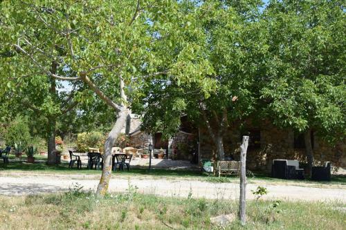 Agroturismo Agriturismo Su Pinnettu