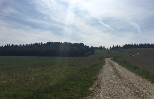 Hotel Cordella In Montalcino Wine Resort