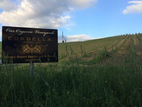 Hotel Cordella In Montalcino Wine Resort