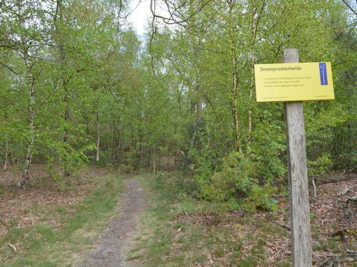 Unique Holiday Home In Stramproy Near Forest