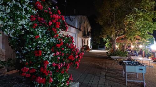 Agroturismo La Quiete