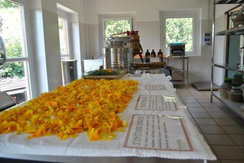 Bed & Breakfast Ca' Dei Fazzilisti