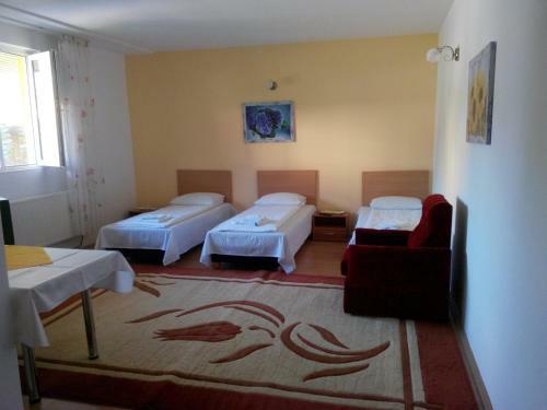 Hostal Pensiunea Vladut Timisoara