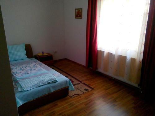 Hostal Pensiunea Vladut Timisoara