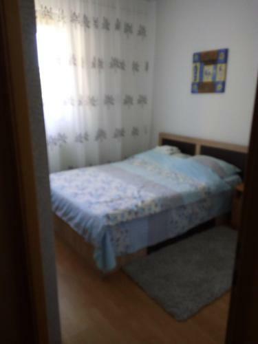 Hostal Pensiunea Vladut Timisoara