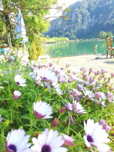 Hostal Dervi??han Pension