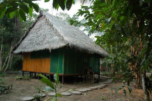 Pacaya Samiria Ivy Mara Ey Lodge