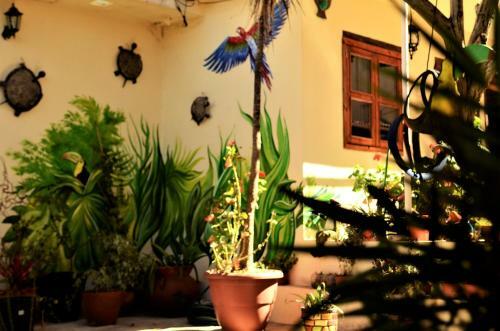 Lodge Yagil Suites